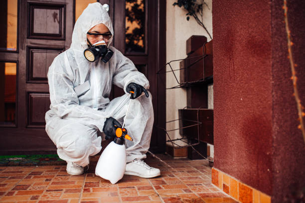 Attic and Crawl Space Rodent Treatment in Lake Wilderness